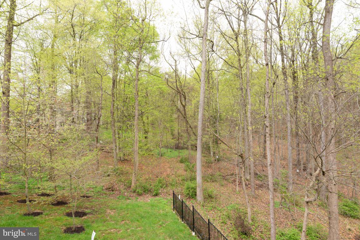 9382 Rock Ripple Lane Laurel, MD 20723 - Photo 48 of 53 Gallery Image 48