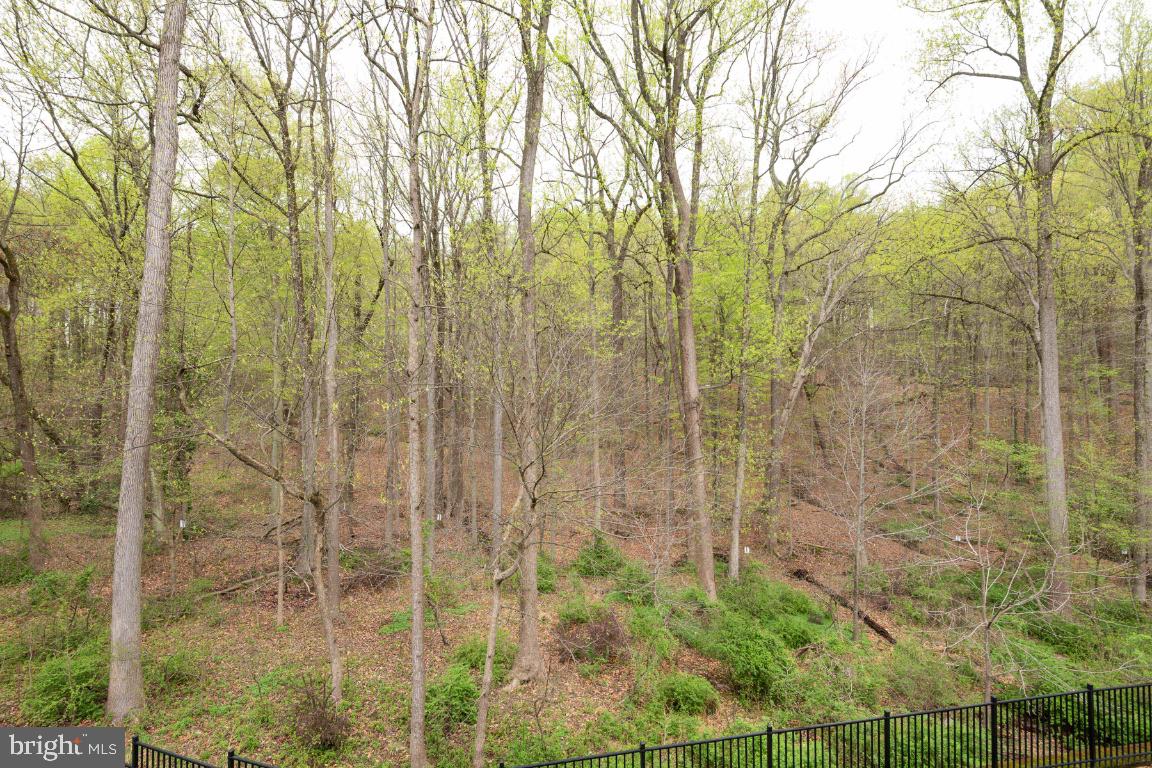 9382 Rock Ripple Lane Laurel, MD 20723 - Photo 49 of 53 Gallery Image 49