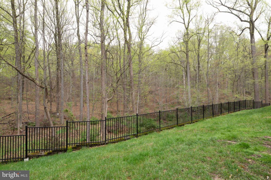 9382 Rock Ripple Lane Laurel, MD 20723 - Photo 50 of 53 Gallery Image 50