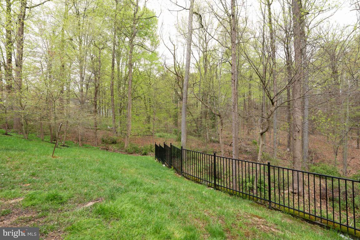 9382 Rock Ripple Lane Laurel, MD 20723 - Photo 51 of 53 Gallery Image 51