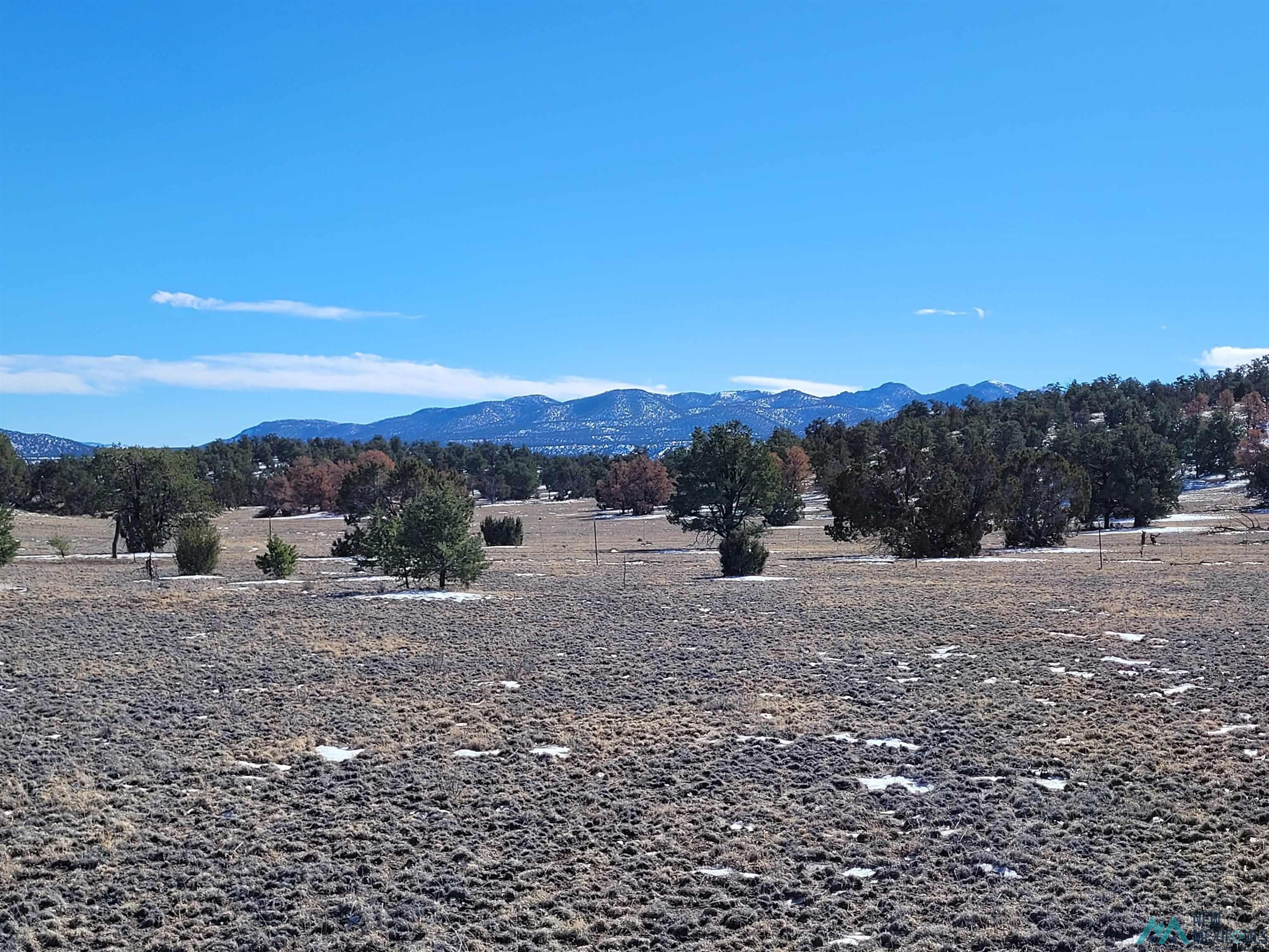 1 Jackass Lane, Unit 1 Datil, NM 87821 - Photo 15 of 46 View of mountain backdrop with rural landscape