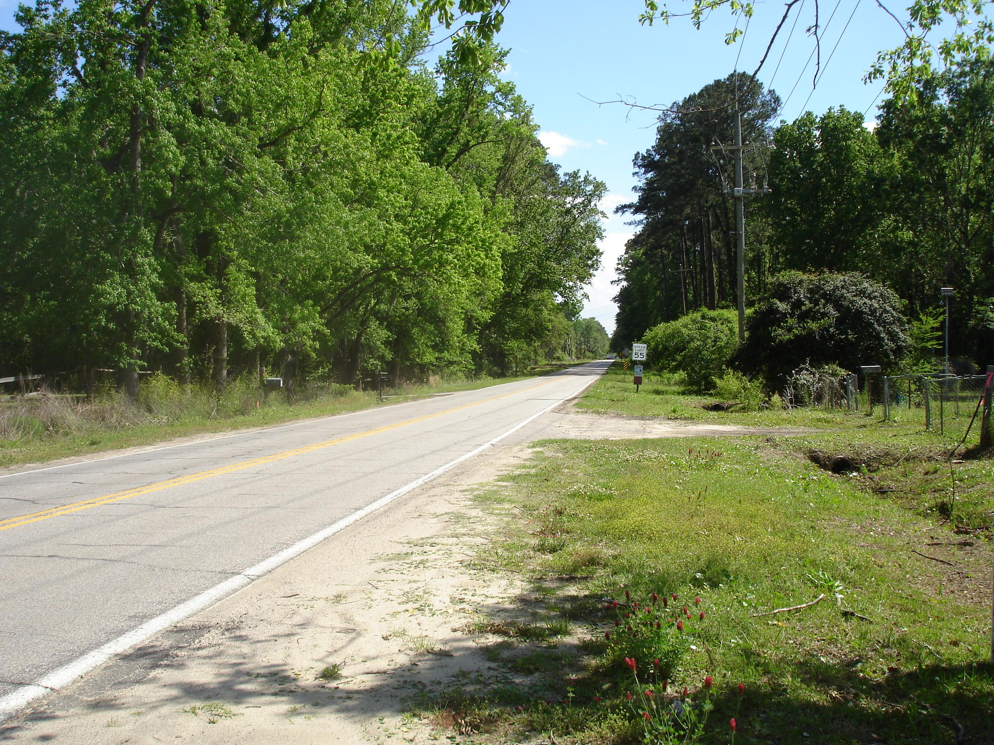8105 Old Jacksonboro Road Adams Run, SC 29426 - Photo 4 of 7 cannon hwy 174 (7)