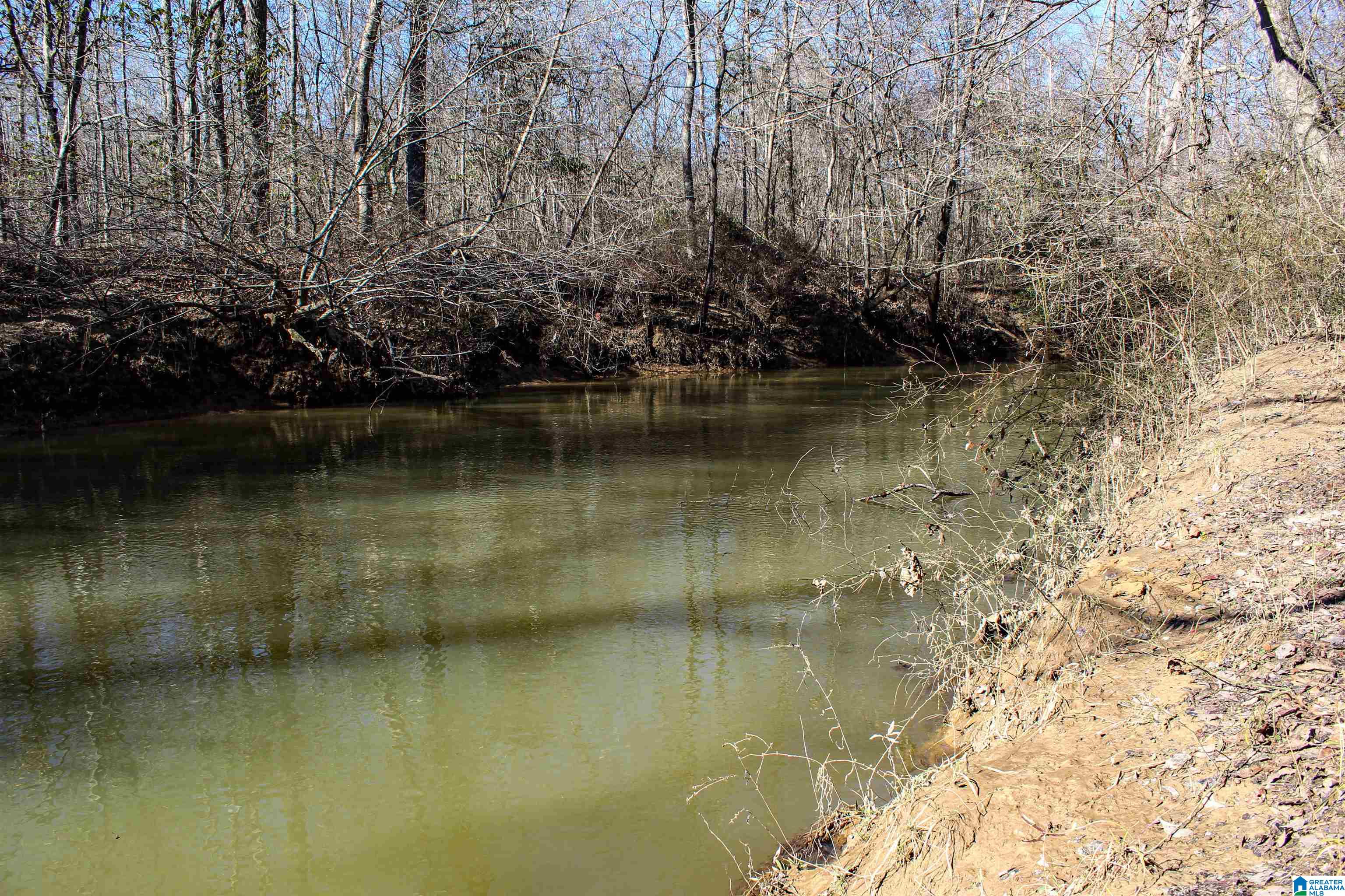 339 County Road Nauvoo, AL 35578 - Photo 29 of 57