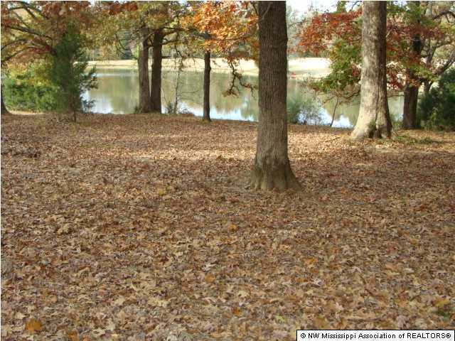 59 Douglas Road Hernando, MS 38632 - Photo 24 of 30 Additional Photo