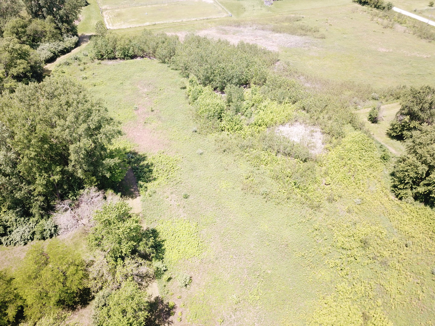 4802 North 12000 W Road Bonfield, IL 60913 - Photo 8 of 8 a view of a yard with trees
