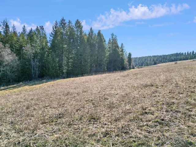 $149,950 | 0 Skok Road, Unit LOT 3, Chewelah, WA 99109