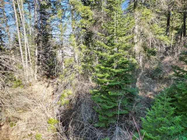 $149,950 | 0 Skok Road, Unit LOT 3, Chewelah, WA 99109