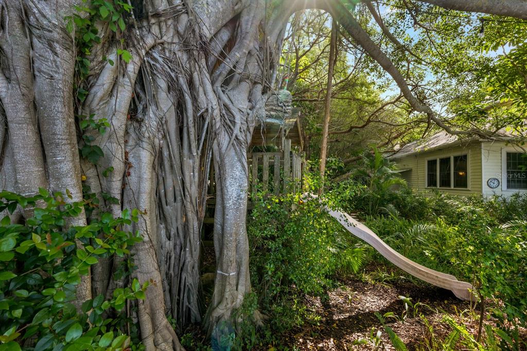 3301 Bay Shore Road Sarasota, FL 34234 - Photo 22 of 51 a view of a garden