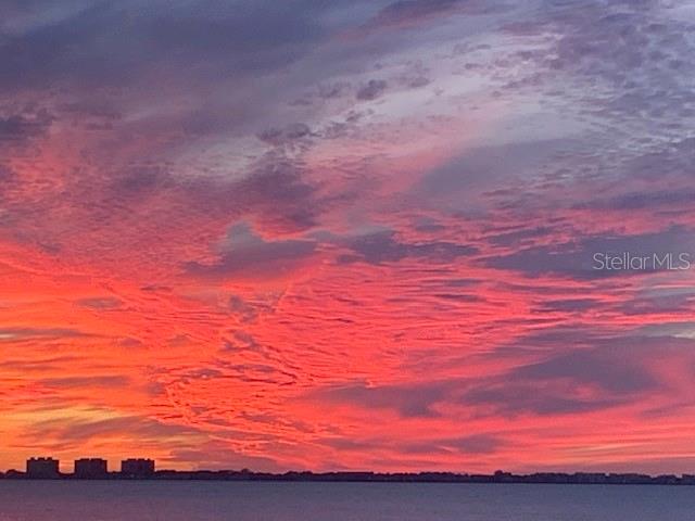 3301 Bay Shore Road Sarasota, FL 34234 - Photo 43 of 51 a view of a yard