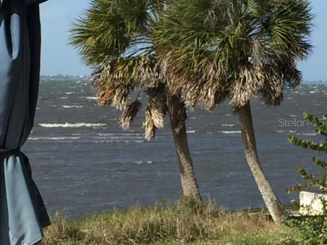 3301 Bay Shore Road Sarasota, FL 34234 - Photo 49 of 51 a view of a yard