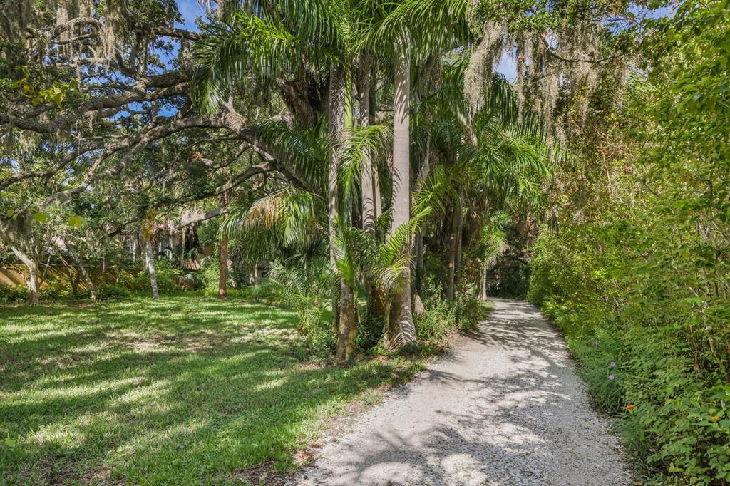 3301 Bay Shore Road Sarasota, FL 34234 - Photo 6 of 51 a big yard with lots of green space and trees
