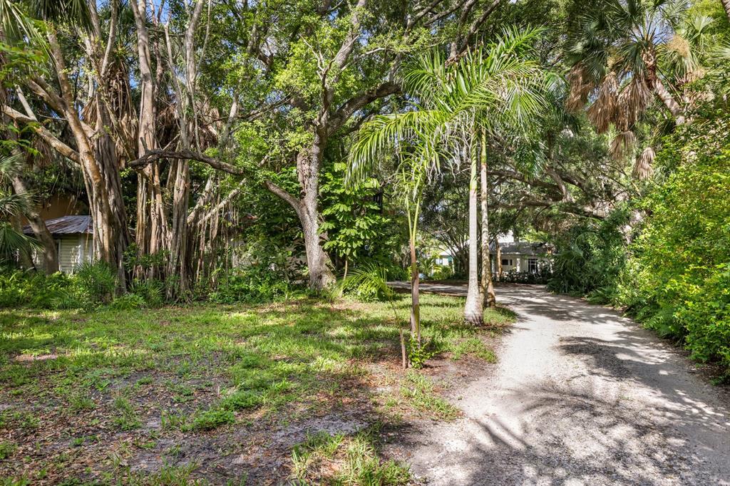 3301 Bay Shore Road Sarasota, FL 34234 - Photo 9 of 51 a backyard of a house with lots of green space