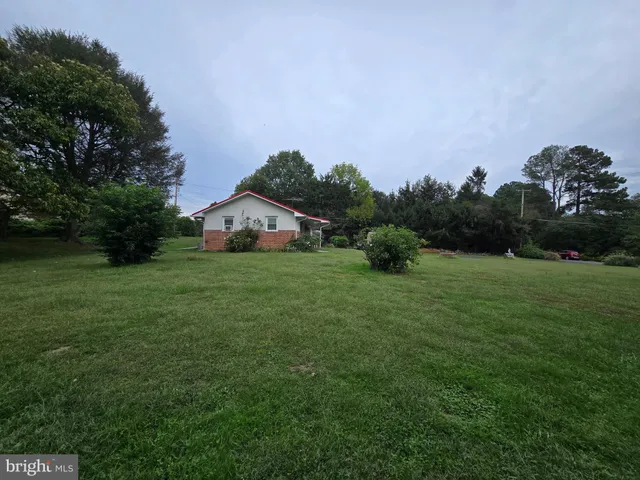 a view of a grassy field with trees
