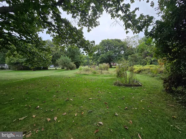 a view of a field of grass and trees