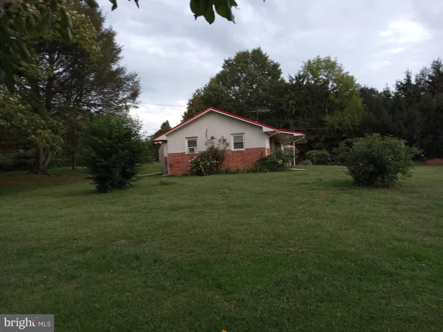 a view of a backyard with large trees