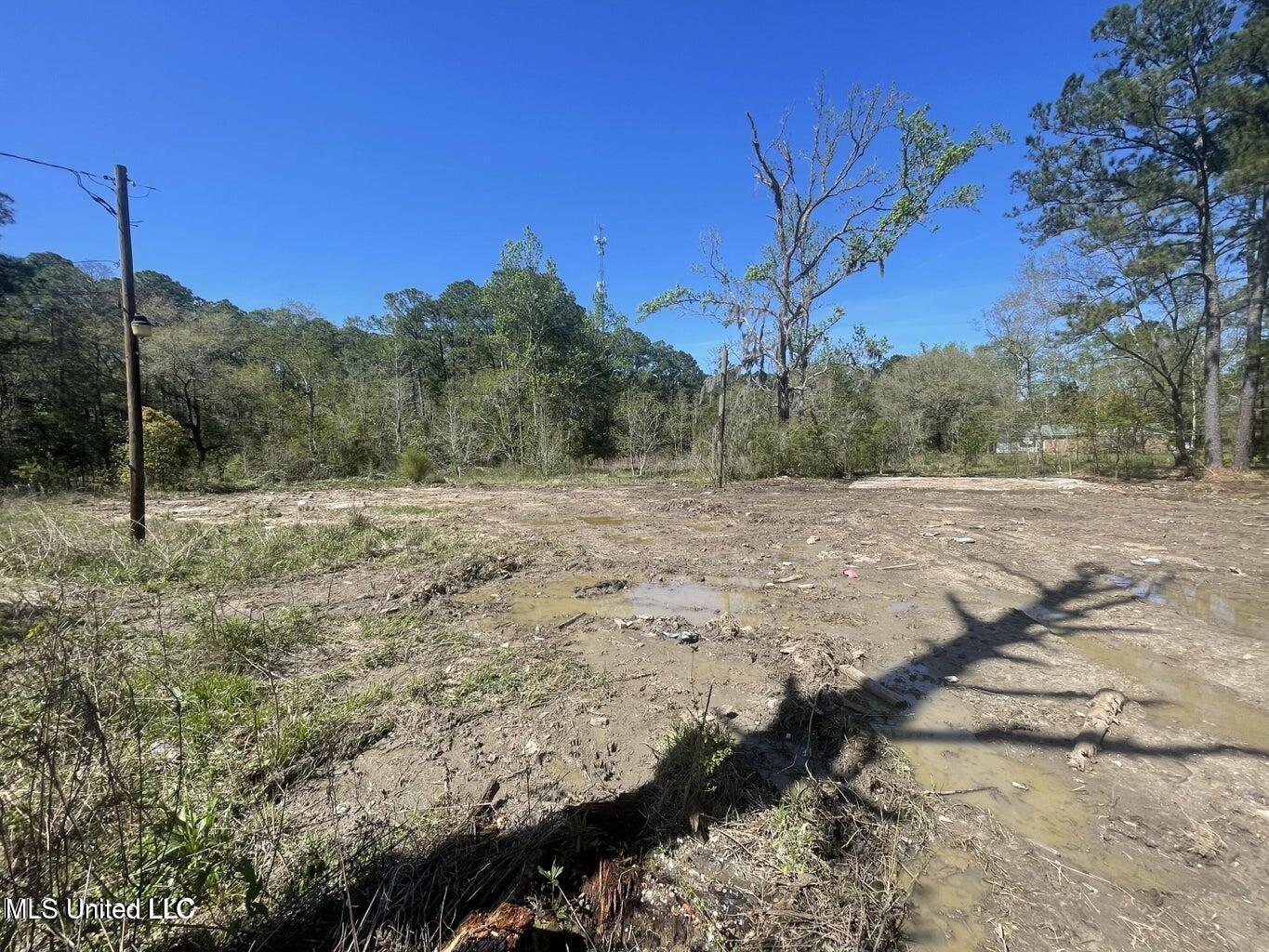 3521 Dale Lane Moss Point, MS 39563 - Photo 3 of 3 20240809212835195614000000-o