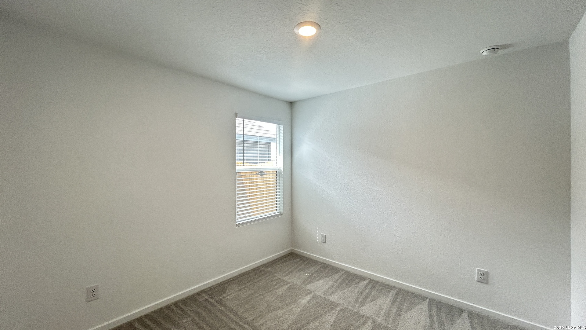 11653 Dog Rose Converse, TX 78109 - Photo 17 of 29