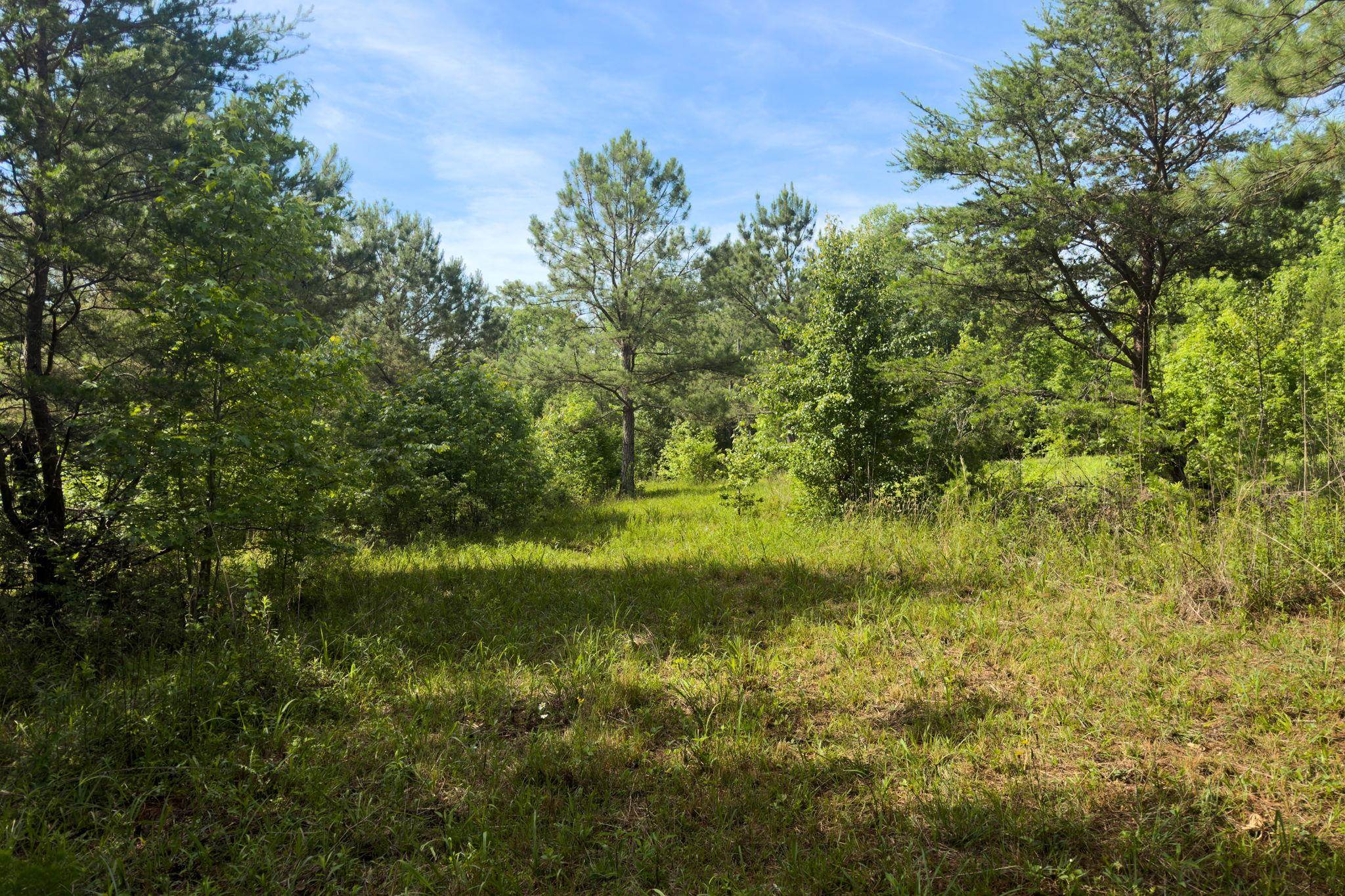 Tbd Melvin Hill Road Campobello, SC 29322 - Photo 6 of 29
