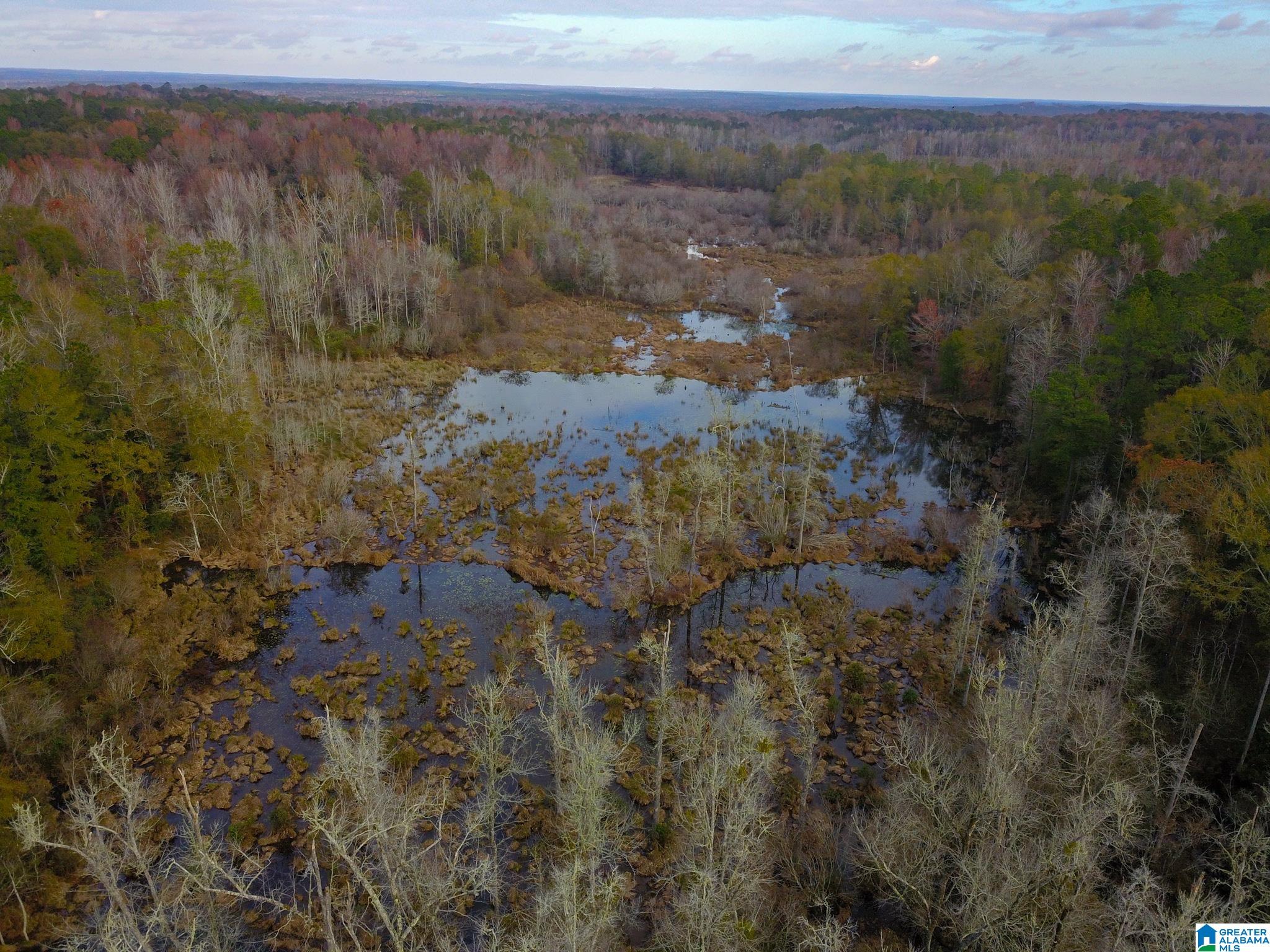 0 Midway Road Tuskegee, AL 36083 - Photo 24 of 30