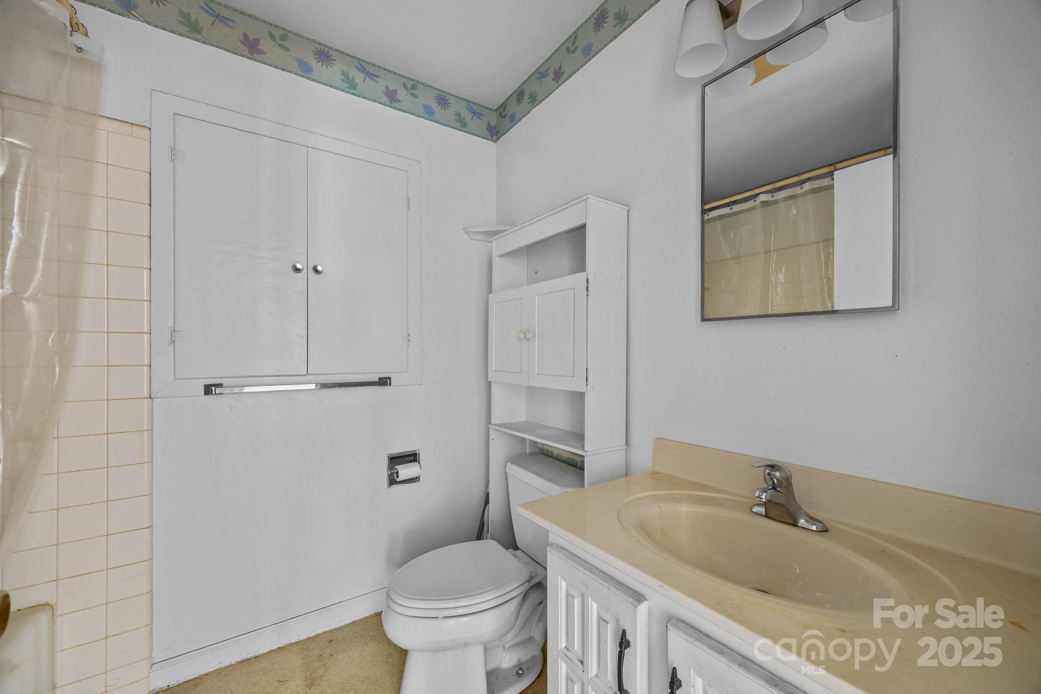 228 Grove Street Brevard, NC 28712 - Photo 30 of 44 a bathroom with a sink and toilet