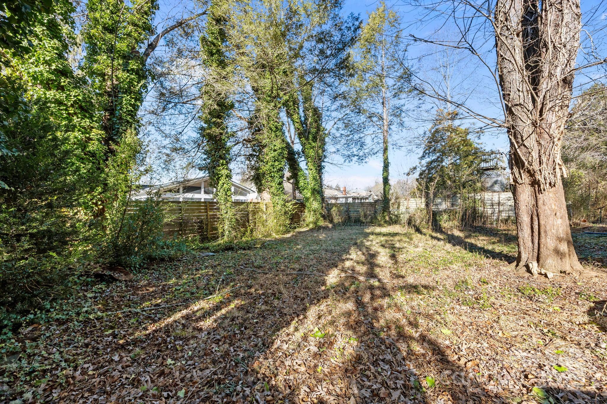 228 Grove Street Brevard, NC 28712 - Photo 36 of 44 a view of a yard with plants and trees