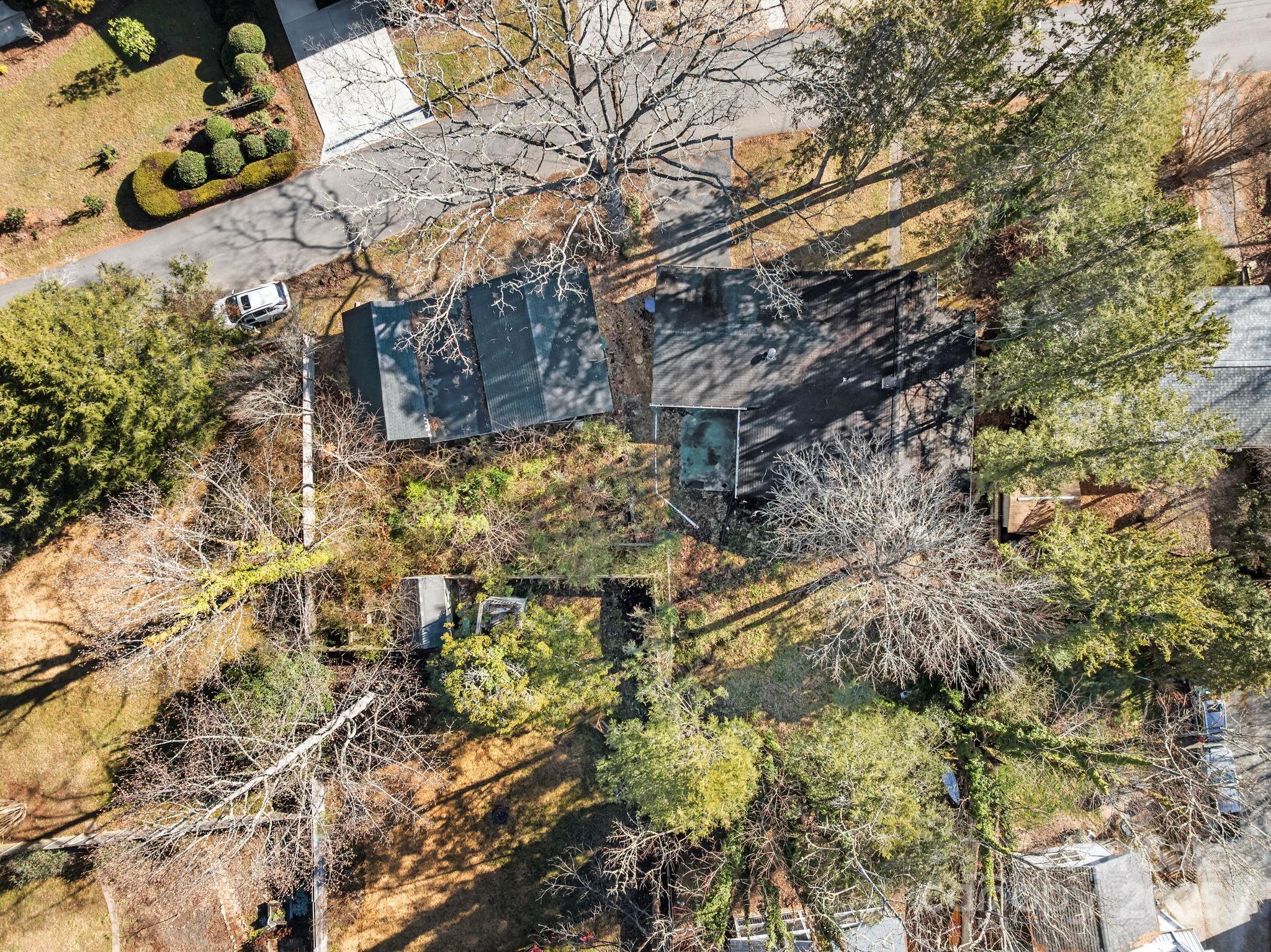 228 Grove Street Brevard, NC 28712 - Photo 42 of 44 a backyard of a building with large trees