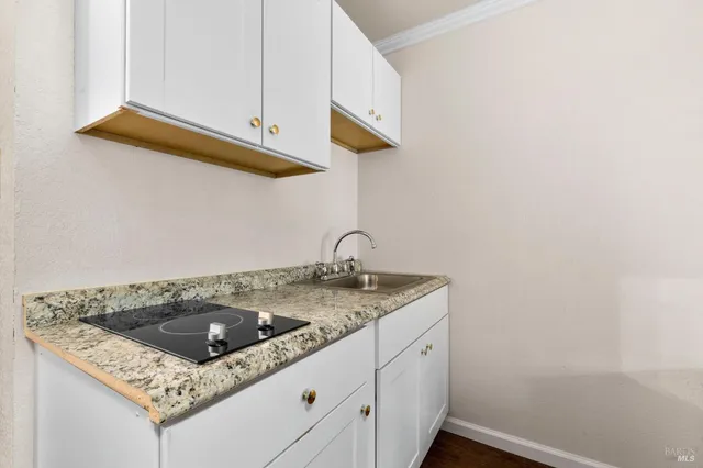 a view of a yard with plants and trees