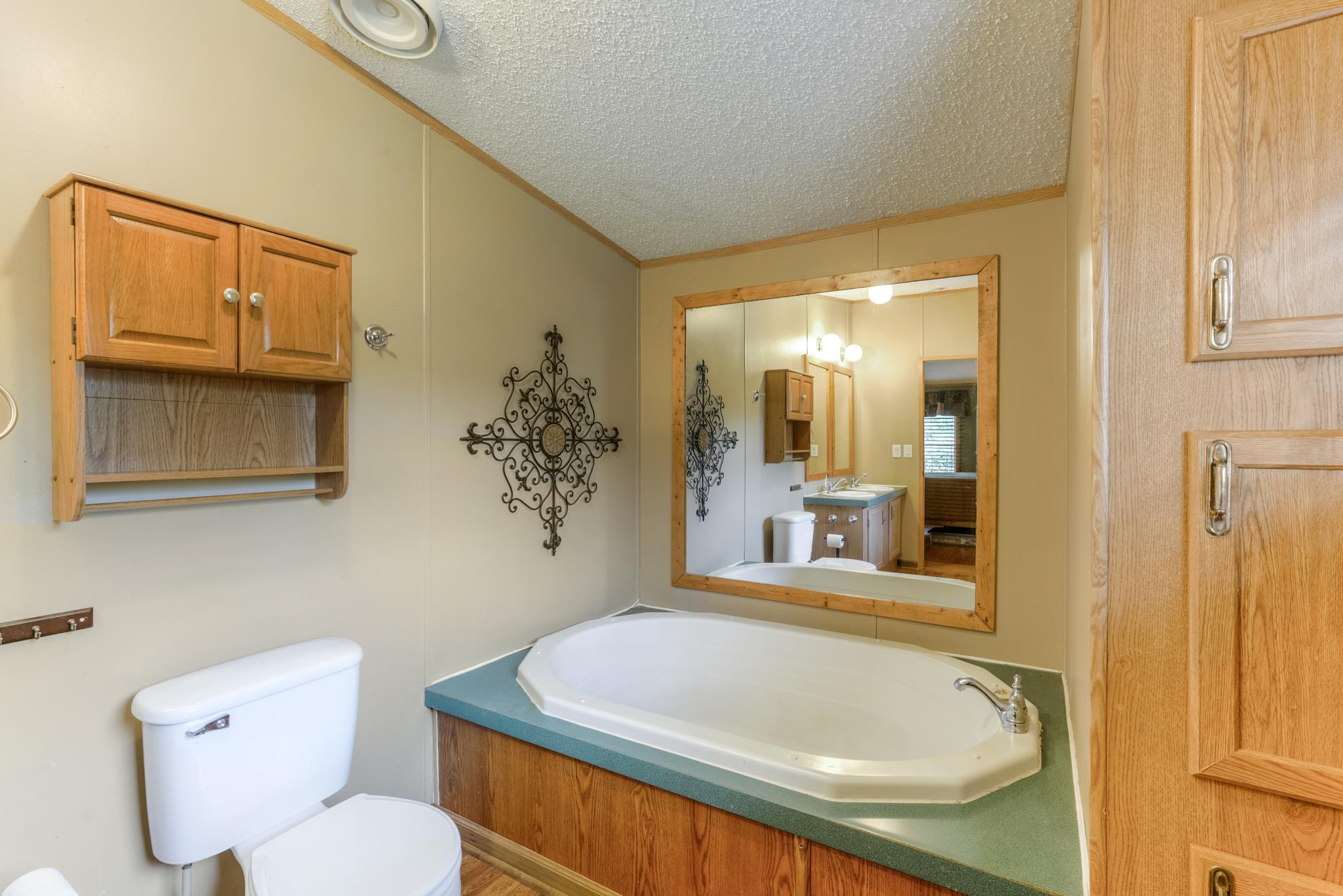 360 Tracy Road Watertown, TN 37184 - Photo 22 of 30 a bathroom with a granite countertop sink and a mirror