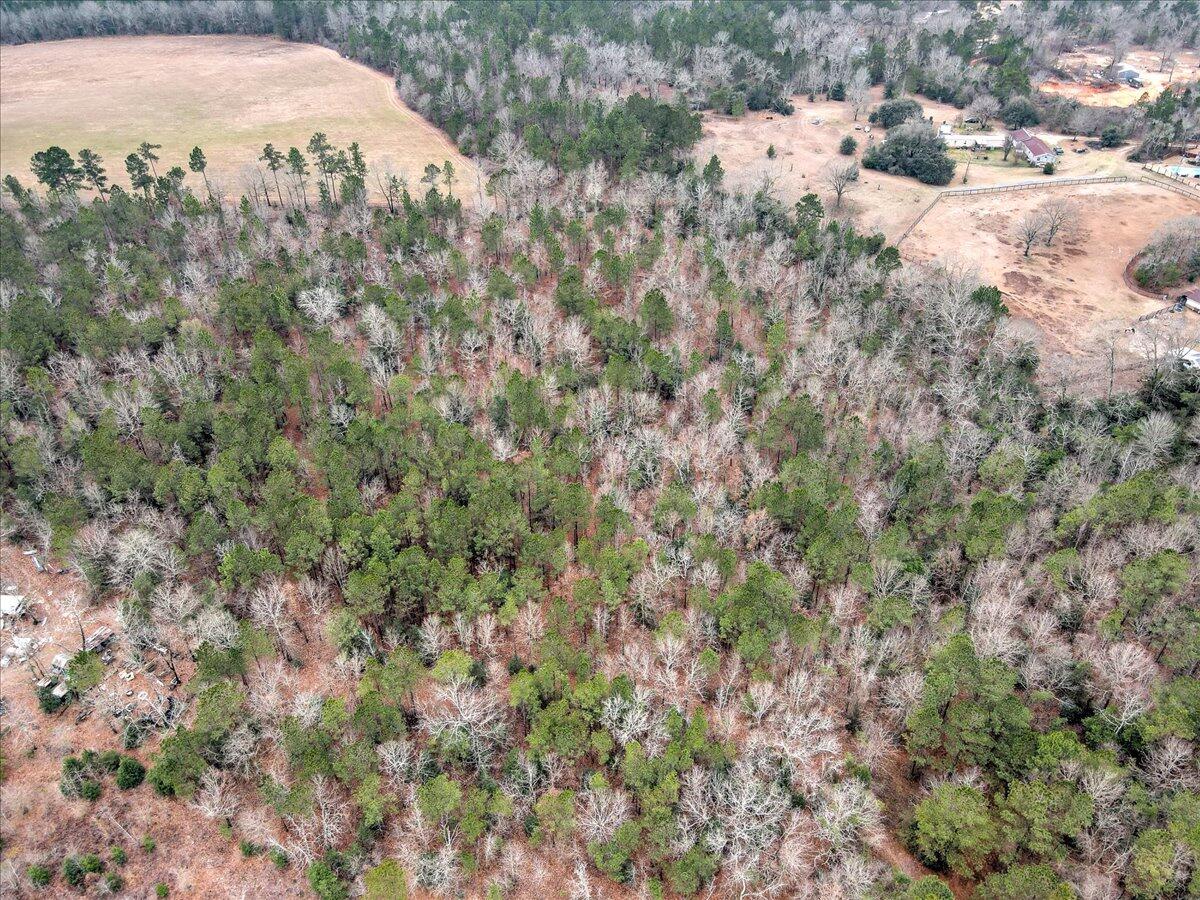 Tr-5 West Wilderness Road Williston, SC 29853 - Photo 9 of 14