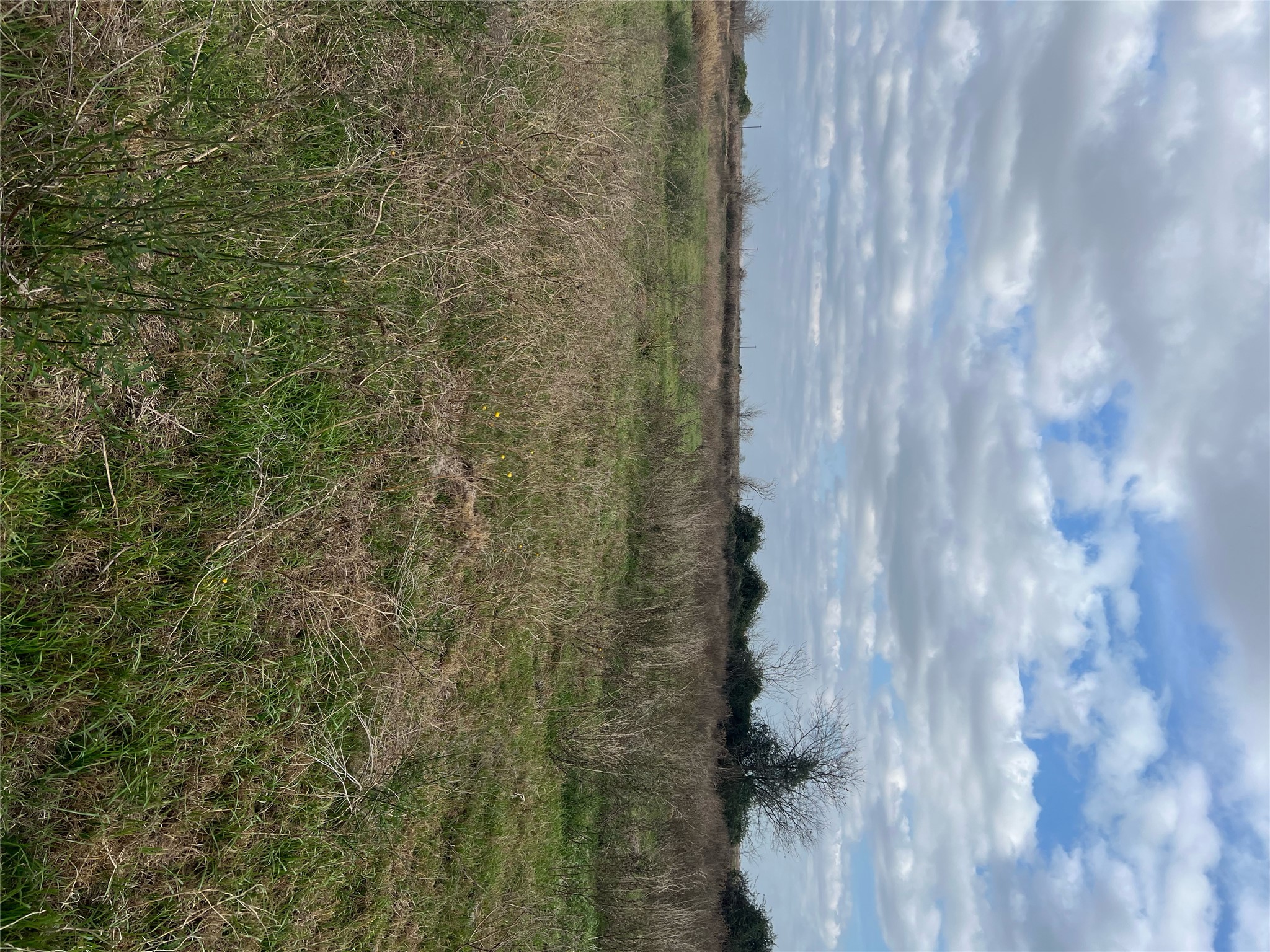 Tbd Lot 1 Tbd Road Eagle Lake, TX 77434 - Photo 2 of 6 a view of lake with mountain