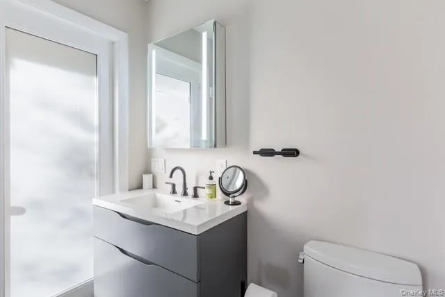 a bathroom with a sink a toilet and mirror