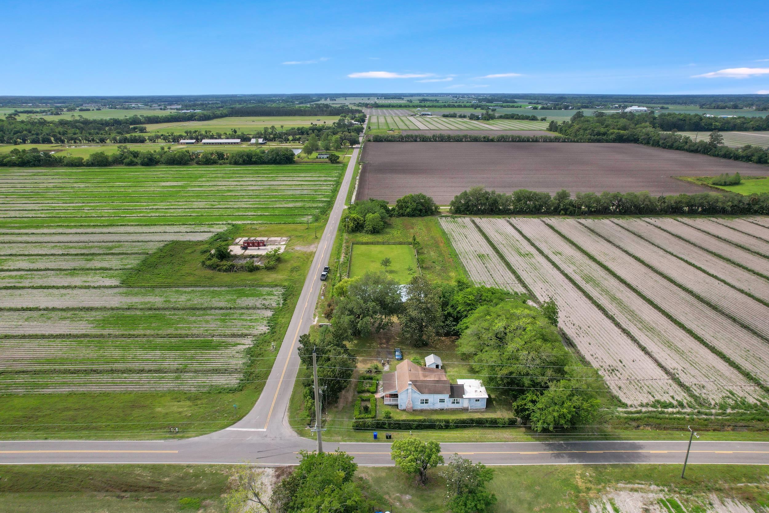 490 George Miller Road Hastings, FL 32145 - Photo 6 of 47