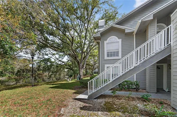 a backyard of a house with a tree