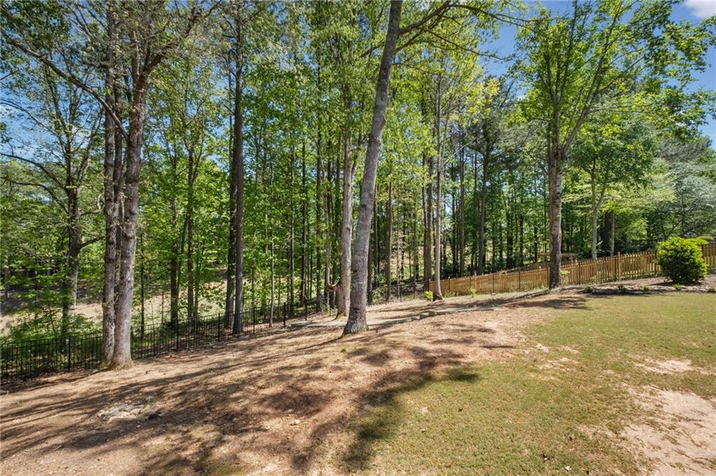 414 Lakepoint Trace Canton, GA 30114 - Photo 48 of 107