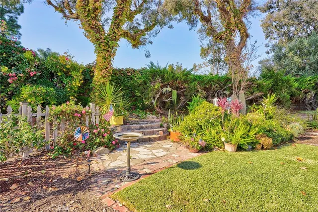 a close up of a flower in a garden
