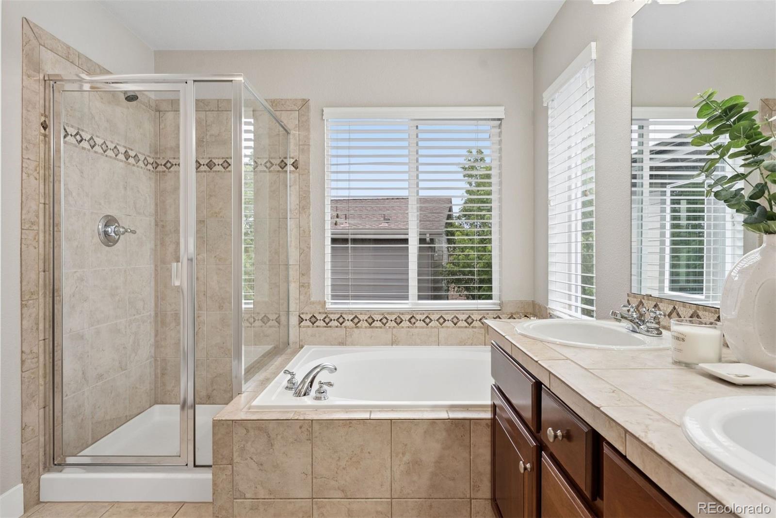 10863 Towerbridge Road Highlands Ranch, CO 80130 - Photo 22 of 42