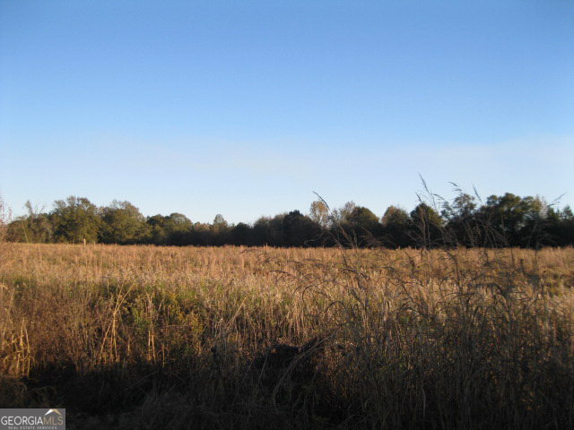 23.34-ac Will Funderburke Road Cobbtown, GA 30420 - Photo 1 of 1 Main View