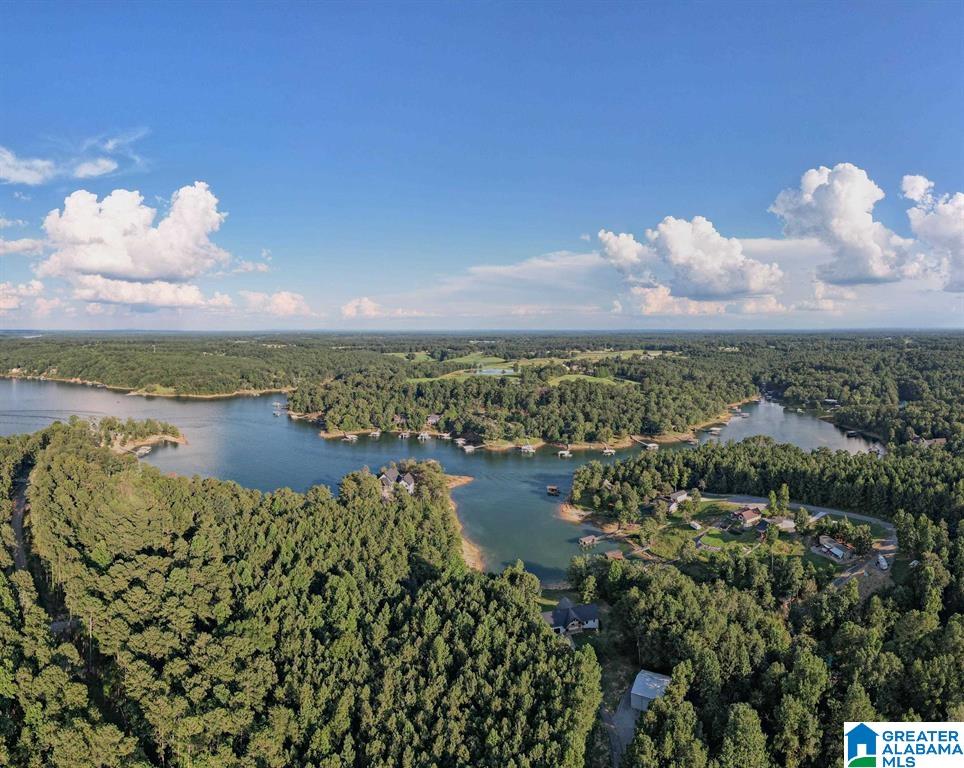 Lot D Camp Jimmy Goodwin Road, Unit LOT D Jasper, AL 35503 - Photo 13 of 13