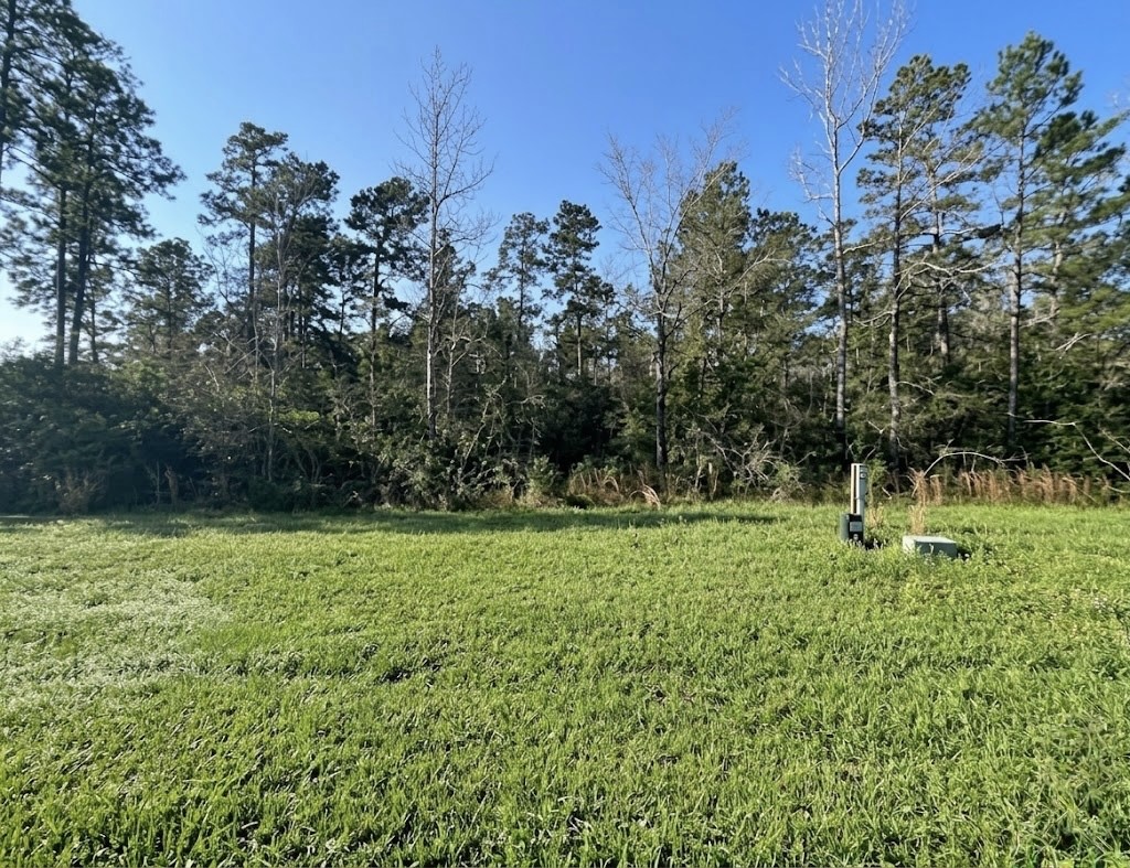 39 Coyote Run Willis, TX 77378 - Photo 2 of 5 a backyard of a house with lots of green space