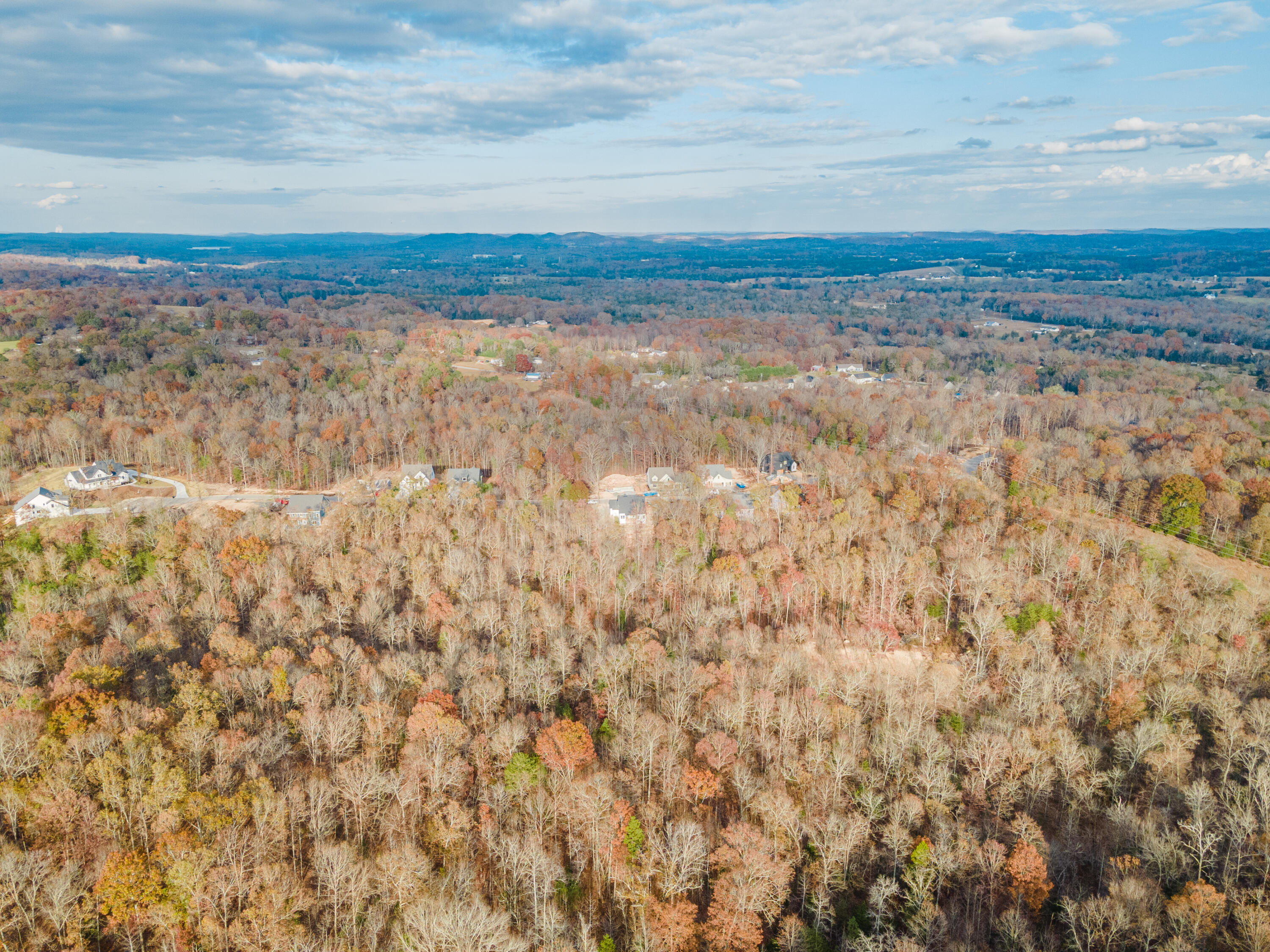 7441 Peytons Rise Way, Unit LOT #37 Georgetown, TN 37336 - Photo 49 of 60 DJI_0719
