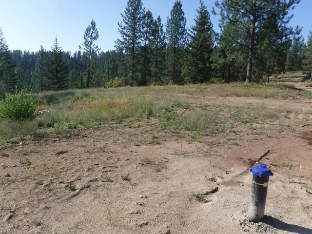 $329,000 | Lot 4 Moose Ridge Way, Loon Lake, WA 99148