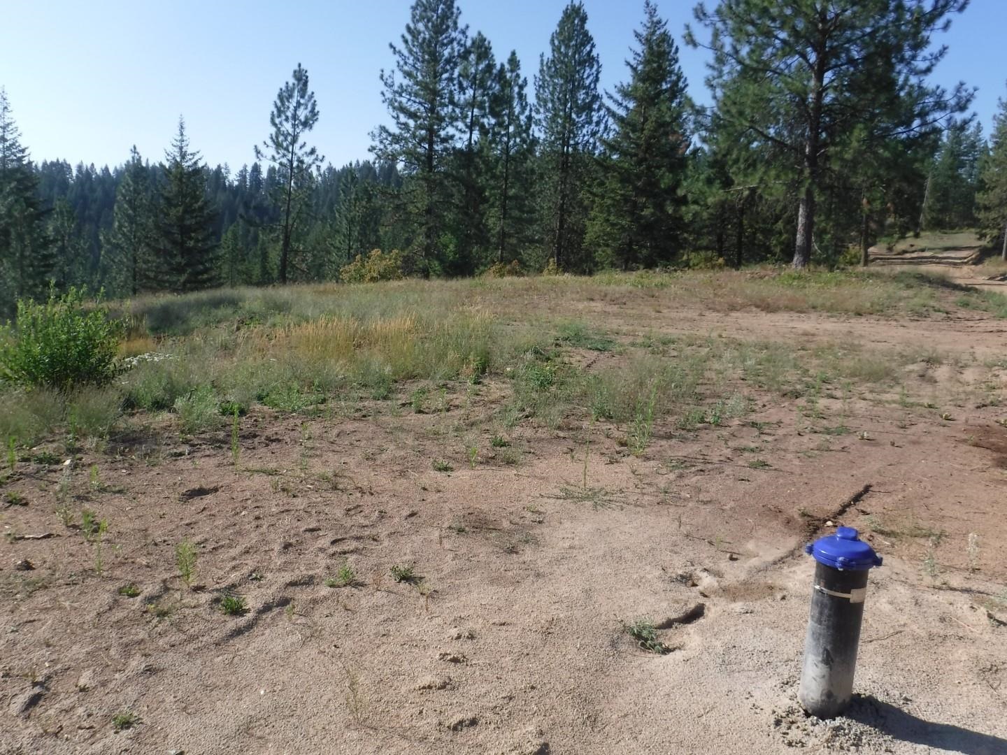 Lot 4 Moose Ridge Way Loon Lake, WA 99148 - Photo 4 of 11