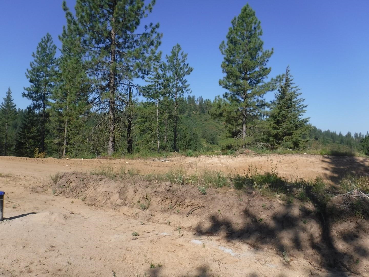 Lot 4 Moose Ridge Way Loon Lake, WA 99148 - Photo 5 of 11