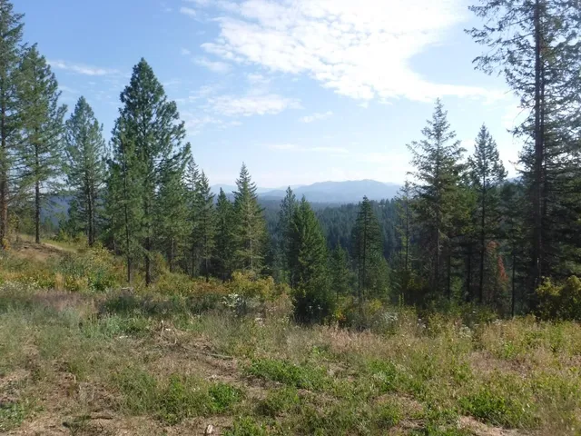 $329,000 | Lot 4 Moose Ridge Way, Loon Lake, WA 99148