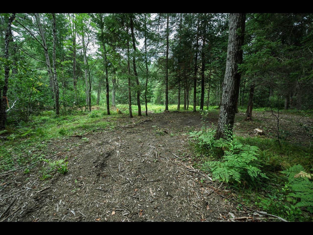 10297 Rocky Run Road Harshaw, WI 54529 - Photo 4 of 21 Gallery Image 4