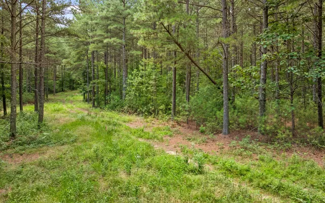 a view of outdoor space and trees
