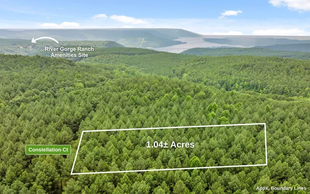 a sign that is next to a tree