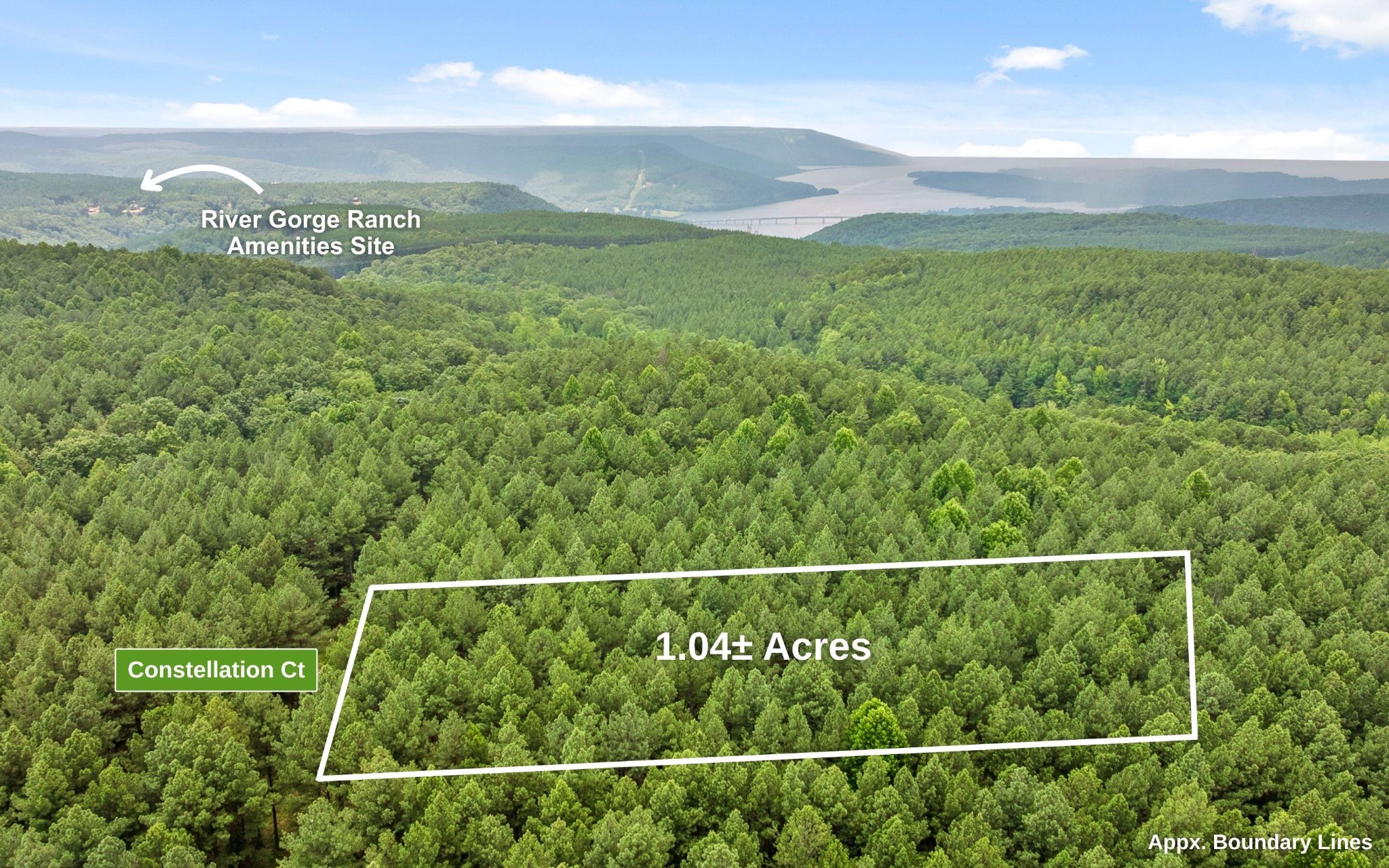 2045 Constellation Court Guild, TN 37340 - Photo 5 of 23 a view of a field