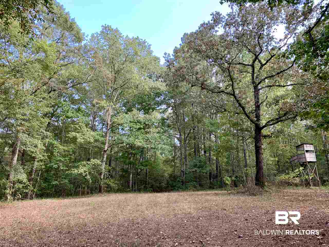 0 Holly Creek Road Stockton, AL 36579 - Photo 6 of 50