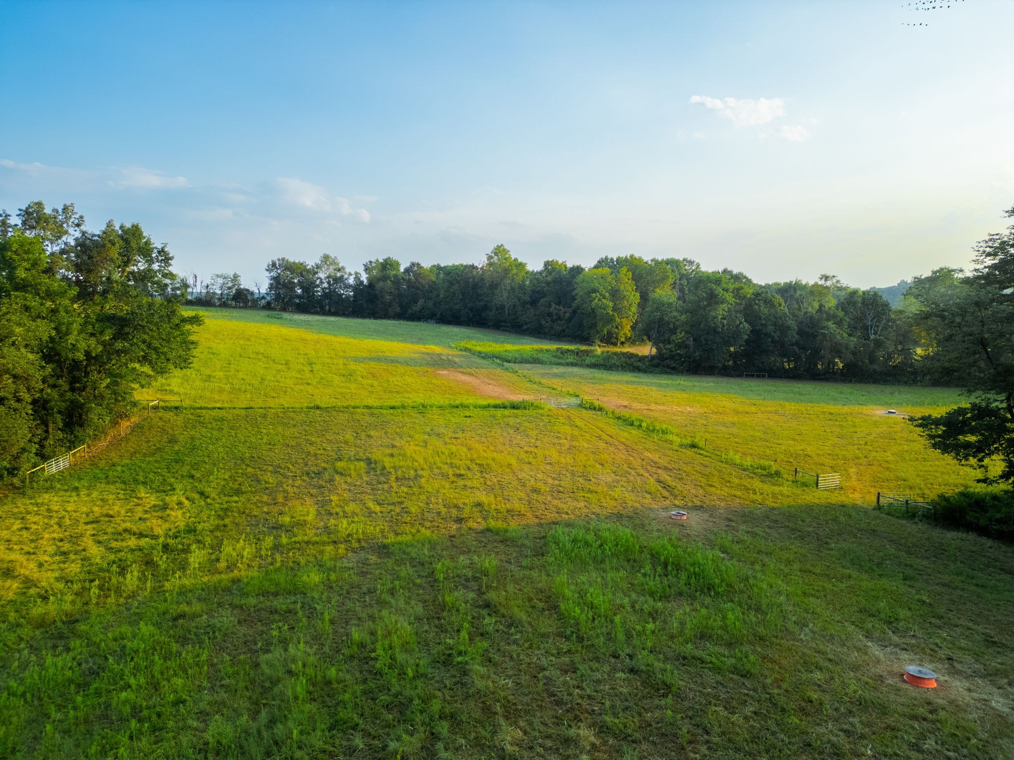 1074 Pair Six Drive Springfield, TN 37172 - Photo 19 of 28